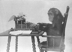 Monkey-typing_web